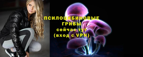гидропоника Абаза