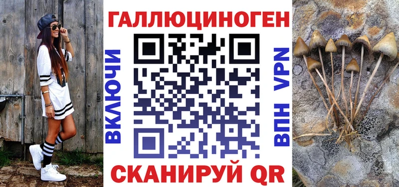 Псилоцибиновые грибы GOLDEN TEACHER  кракен ссылки  Вилюйск  закладки 